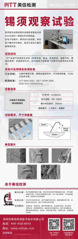 錫須觀察試驗.png