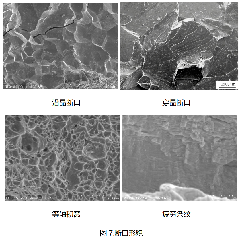 美信檢測斷口形貌對比分析：沿晶斷口、穿晶斷口、韌窩與疲勞條紋SEM顯微圖
